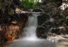 Aguas termales Don Alfonso, candente y excitante