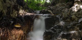 Aguas termales Don Alfonso, candente y excitante
