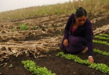 El empoderamiento digital de la mujer rural es más que sólo el acceso