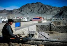 Confirmado primer caso de la peste bubónica en China