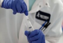 Un paso más cerca de la inmunidad gracias a la primera secuencia representativa del coronavirus