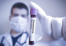 El sistema inmunitario, el maravilloso escudo que ganará la guerra contra el coronavirus