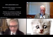 «No soy un gato», el video viral de un abogado que no podía desactivar un filtro de Zoom