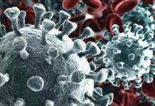 Reino Unido detecta dos nuevas variantes del coronavirus, una de ellas «preocupante»