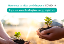 Planta un árbol en memoria por las vidas perdidas a causa del Covid-19