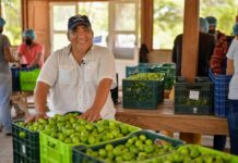Productor nicaragüense entre los 12 mejores proveedores de Walmart Centroamérica