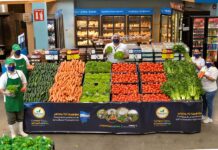 ¡Llegaron los festivales Tierra Fértil 2022!