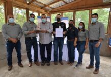 La “mina” de limones en Nicaragua