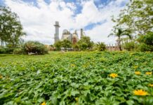 CEMEX reafirma su compromiso y liderazgo en la Semana del Clima de América Latina y el Caribe 2022