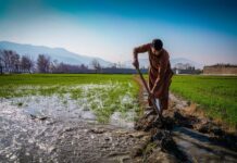 Tigo Nicaragua y FAO unidos en el Día Mundial de la Alimentación