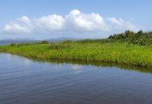 Fondos para conservar la biodiversidad en Río San Juan