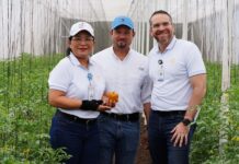 Más de 800 millones de córdobas compró Walmart a productores agrícolas y pymes nicaragüenses en 2023