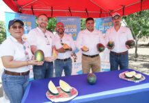 Sandía de colores, la apuesta de productor leonés para satisfacer a los amantes de frutas exóticas