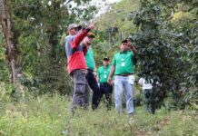 Banpro: ayudando a proteger el ecosistema