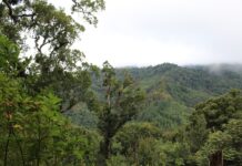 Áreas protegidas de Nicaragua más resilientes y fortalecidas