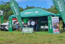 Banpro en exhibición bovina