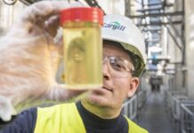 Cargill obtiene el puesto número 1 a nivel mundial por eliminar las grasas trans de su portafolio de aceites comestibles