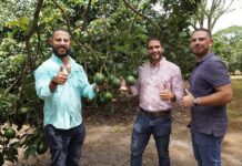 El suculento “oro verde” que está emanando del suroeste de Nicaragua a los supermercados del país