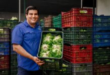 Vegyfrut, la pyme que impulsa el agro nicaragüense con propósito