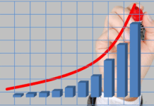 Rentabilidad: el verdadero corazón del negocio