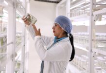 Día Mundial de la UNESCO: ¿por qué Venezuela logró que las semillas agámicas sean el futuro de la alimentación humana?