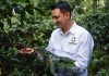 Wanka Coffee abre canales directos para conectar a productores de café nicaragüenses con mercados internacionales