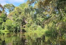 ¡El Refugio de Vida Silvestre Los Guatuzos es más que un humedal!