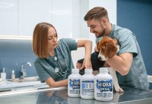 Nuevo suplemento busca prevenir la deshidratación en las mascotas