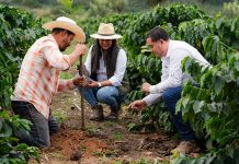 Nestlé contribuye a la siembra de más de 2 millones de árboles en Centroamérica y acelera la transición hacia cadenas de abastecimiento libres de deforestación