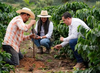 Nestlé contribuye a la siembra de más de 2 millones de árboles en Centroamérica y acelera la transición hacia cadenas de abastecimiento libres de deforestación