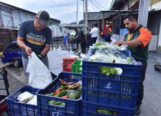 Banco de Alimentos de Nicaragua, un aliado clave para la Tierra a través de la reducción del desperdicio alimentario