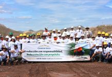 Condor Gold presenta su programa de reforestación en celebración del Día Mundial de la Tierra