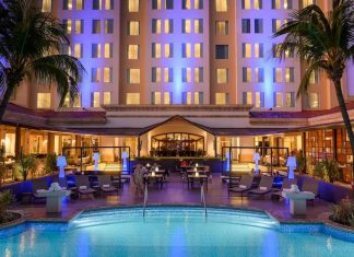 Expo XV & Eventos despliega elegancia en un cóctel inolvidable junto a Bartender Nicaragua