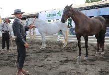Banpro presente en la XV Feria Internacional del Caballo Nicaragua 2026
