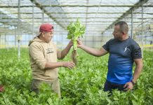 230 agricultores transforman sus cultivos y generan nuevas oportunidades en el campo