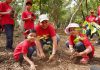 Claro celebra el Día del Árbol sembrando vida y cuidando el futuro del país