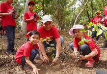 Claro celebra el Día del Árbol sembrando vida y cuidando el futuro del país