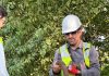 Construir sin desplazar la vida: el reto de proteger la biodiversidad durante las obras de infraestructura