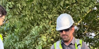 Construir sin desplazar la vida: el reto de proteger la biodiversidad durante las obras de infraestructura
