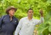 Valor Compartido que florece: Walmart impulsa proyecto que transformó la vida de una familia ramonense