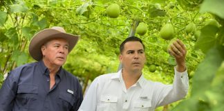Valor Compartido que florece: Walmart impulsa proyecto que transformó la vida de una familia ramonense