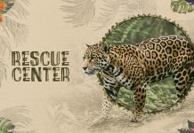 atresplayer estrena este jueves ‘Rescue Center’, un documental sobre el prestigioso centro de animales salvajes, en Costa Rica