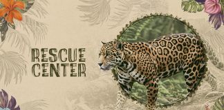 atresplayer estrena este jueves ‘Rescue Center’, un documental sobre el prestigioso centro de animales salvajes, en Costa Rica