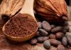 Chocolate y salud: los mitos y verdades que todo amante del chocolate debería conocer