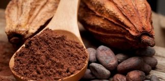 Chocolate y salud: los mitos y verdades que todo amante del chocolate debería conocer
