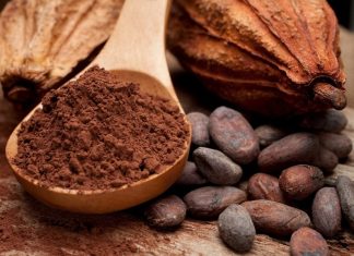 Chocolate y salud: los mitos y verdades que todo amante del chocolate debería conocer
