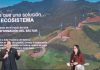 Aseguradoras promueven plataforma para fortalecer la protección del sector turismo frente al riesgo climático