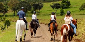 Hacienda Barvak abre sus puertas para acercar a más personas al mundo ecuestre