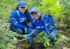 Tigo Nicaragua realiza jornada de reforestación en Reserva Natura con la siembra de 1,000 árboles