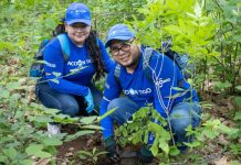 Tigo Nicaragua realiza jornada de reforestación en Reserva Natura con la siembra de 1,000 árboles